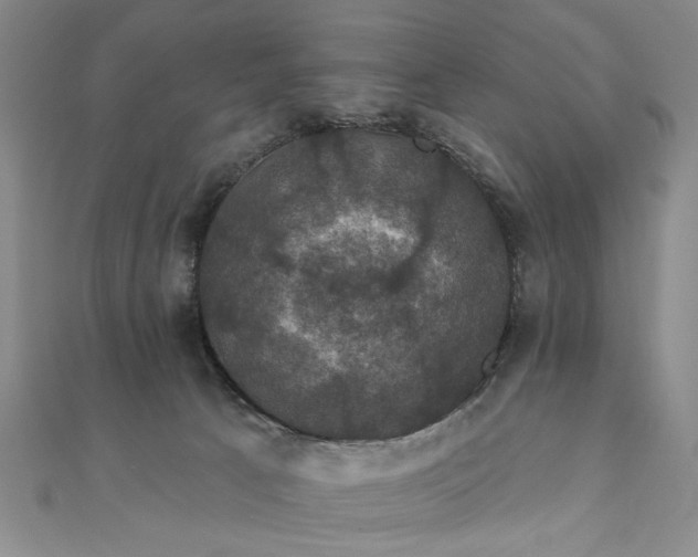 X0000111910033200908031147