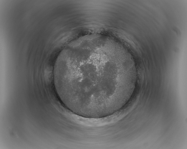 X0000111910034200908031147