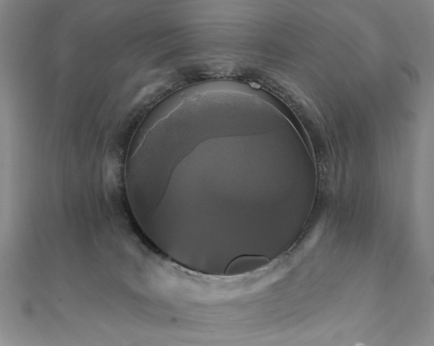 X0000111910035200908031147