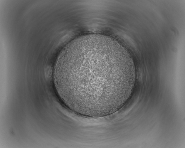 X0000111910036200908031147