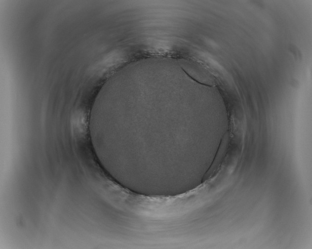 X0000111910037200908031147