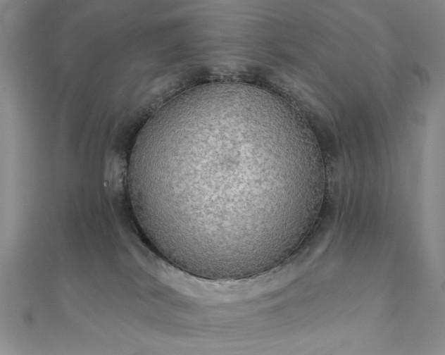 X0000111910038200908031147