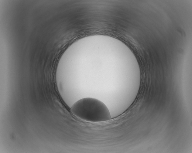 X0000111910039200908031147