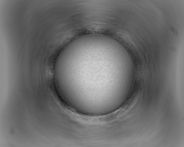 X0000111910040200908031147