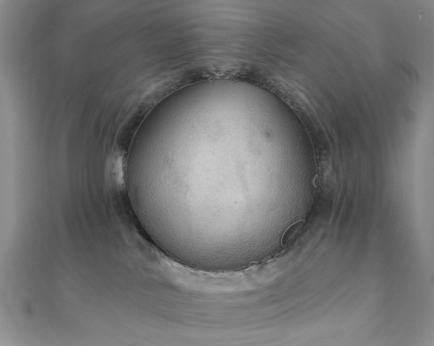 X0000111910042200908031147