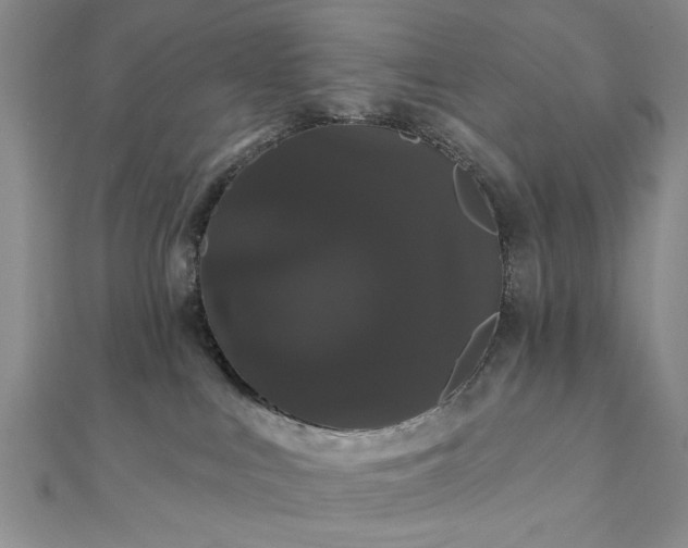 X0000111910043200908031147