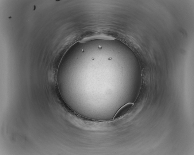 X0000111910044200908031147