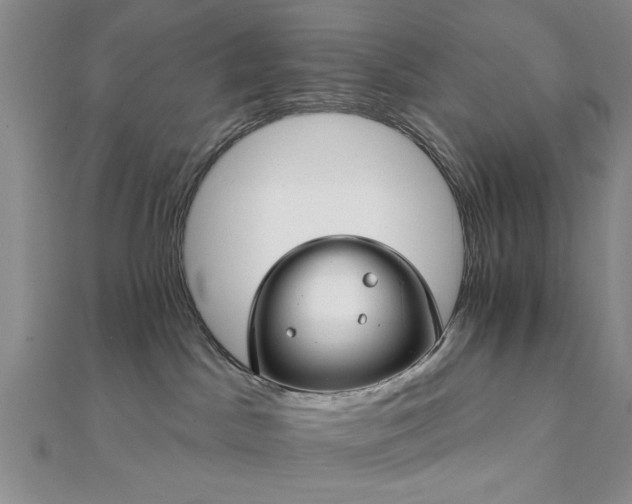 X0000111910045200908031147