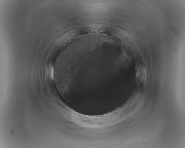 X0000111910046200908031147