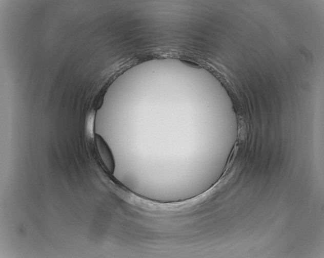 X0000111910047200908031147