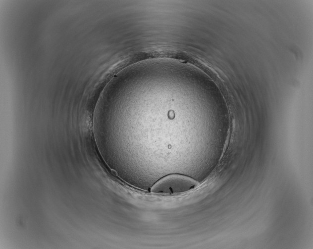 X0000111910048200908031147