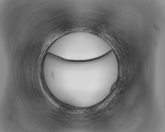 X0000111910049200908031146