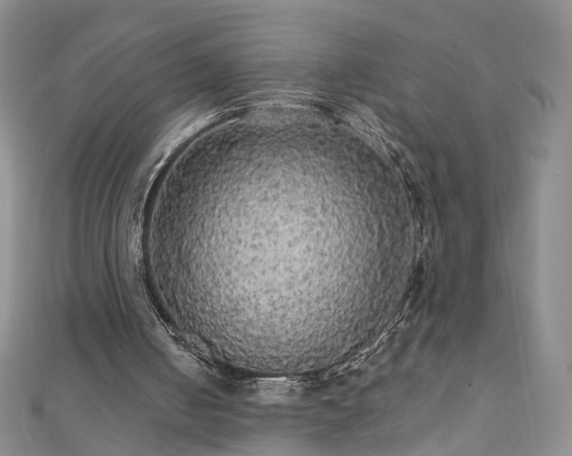 X0000111910050200908031146