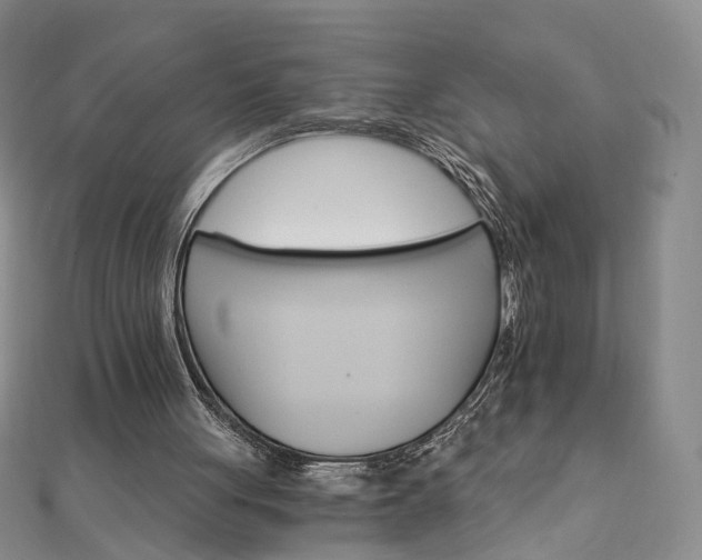 X0000111910051200908031146