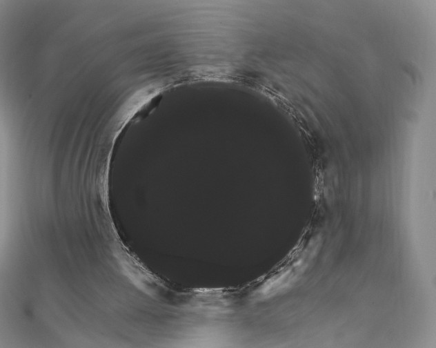 X0000111910052200908031146