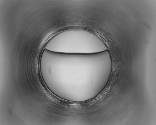 X0000111910053200908031146