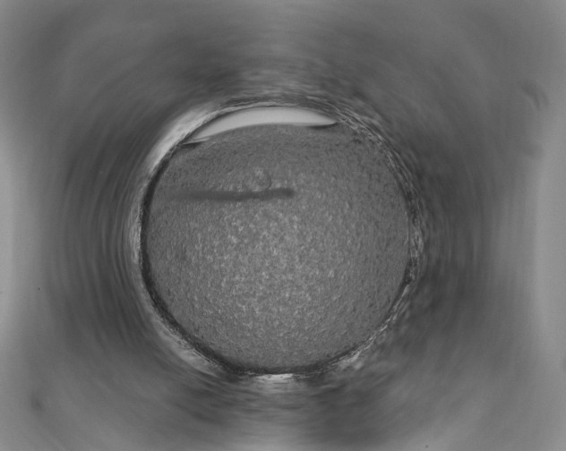 X0000111910054200908031146