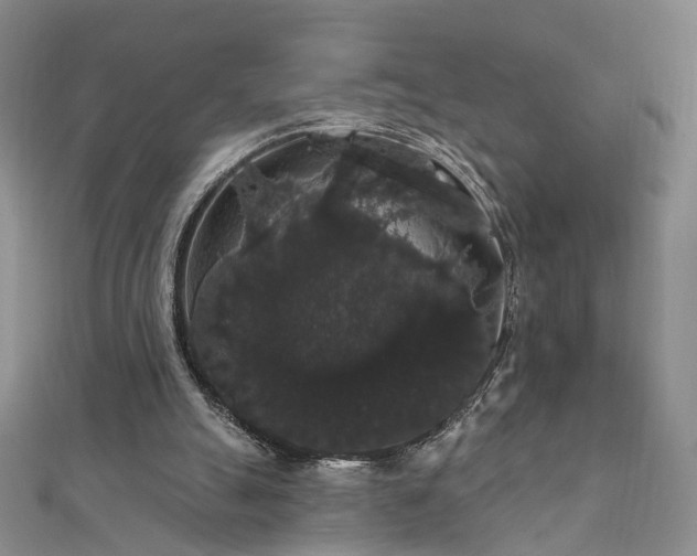 X0000111910055200908031146