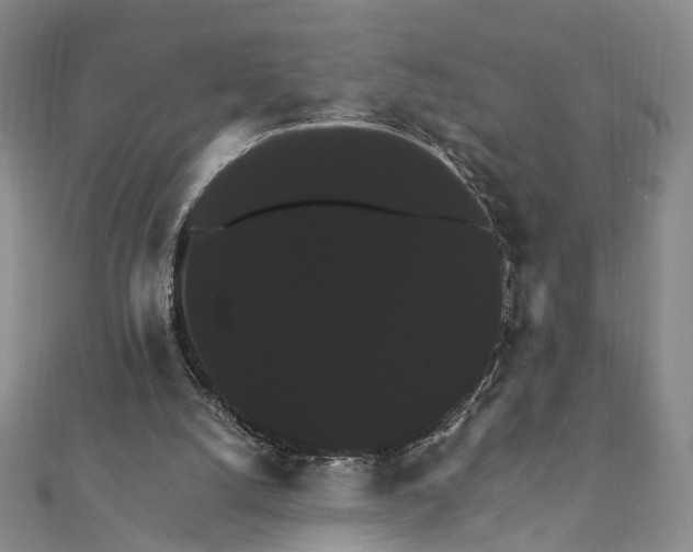 X0000111910056200908031146