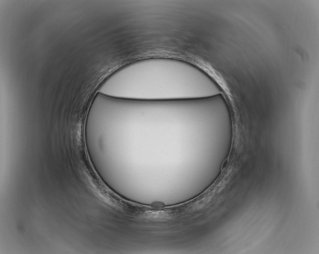 X0000111910057200908031146