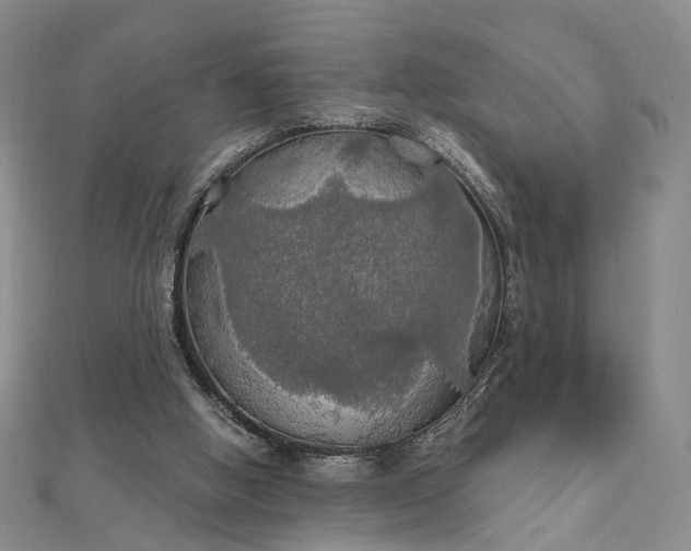 X0000111910058200908031146