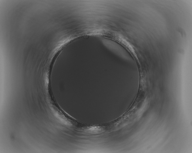 X0000111910059200908031146