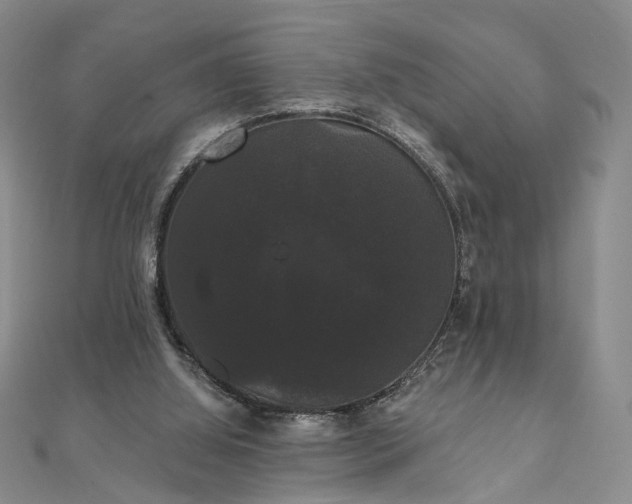 X0000111910060200908031146