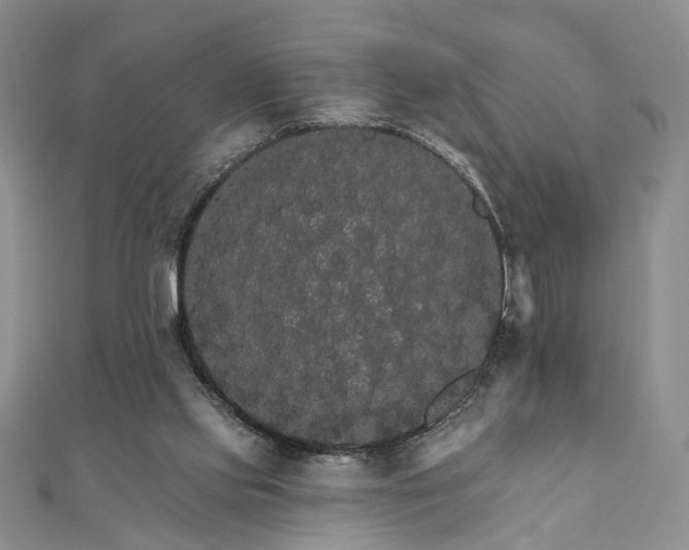 X0000111910061200908031146