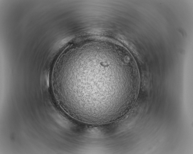 X0000111910062200908031146