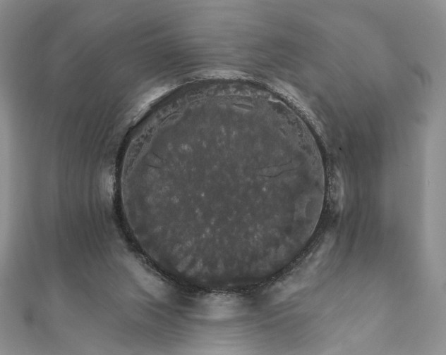 X0000111910063200908031146