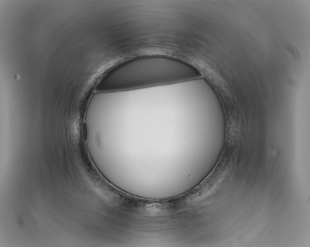 X0000111910064200908031146