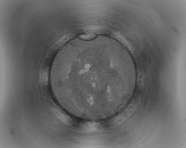 X0000111910065200908031146