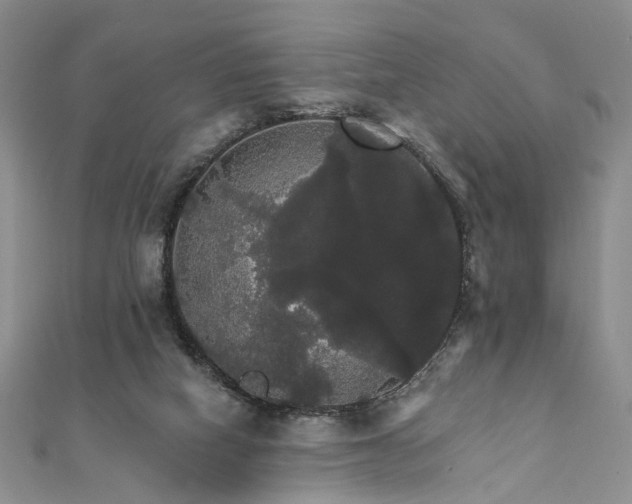 X0000111910066200908031146