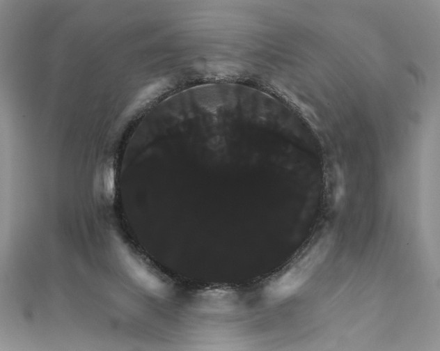 X0000111910067200908031146