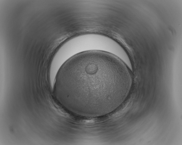 X0000111910068200908031146