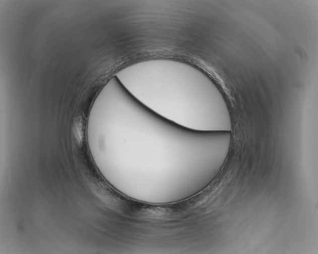 X0000111910069200908031146