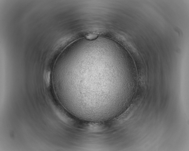 X0000111910070200908031146