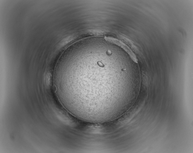 X0000111910071200908031146