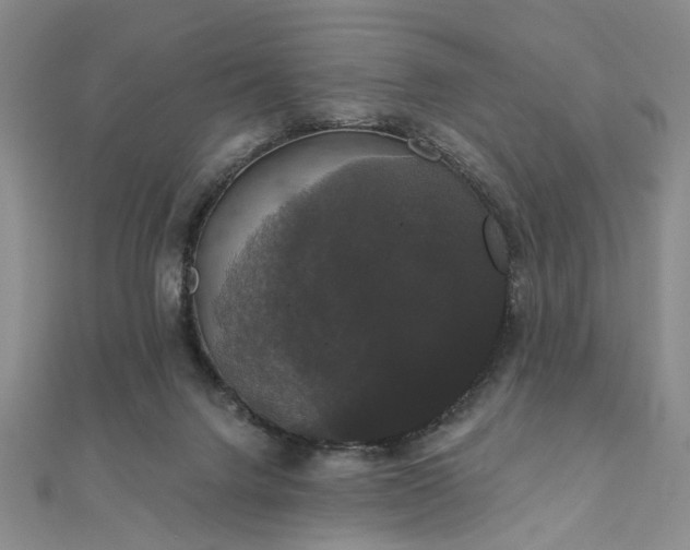 X0000111910072200908031146