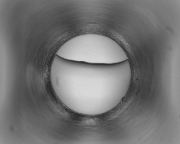 X0000111910073200908031146