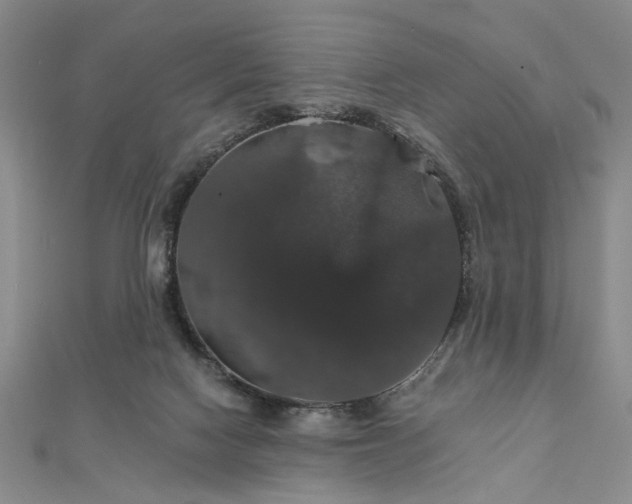 X0000111910074200908031146