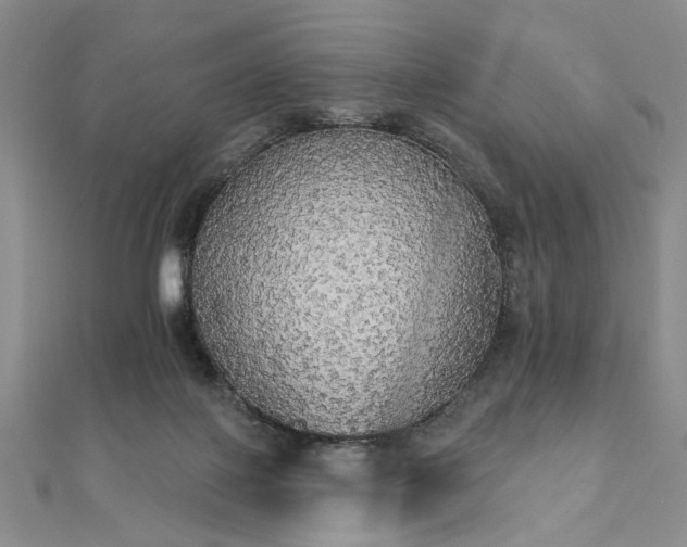 X0000111910075200908031147