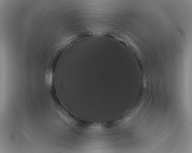 X0000111910076200908031147