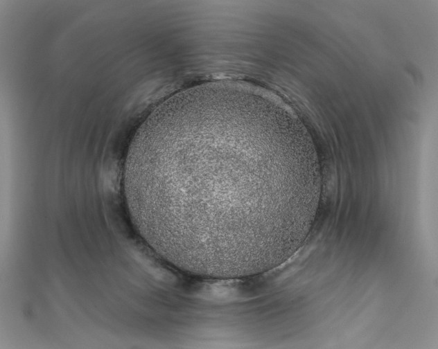 X0000111910078200908031147