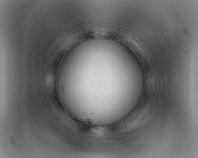 X0000111910079200908031147