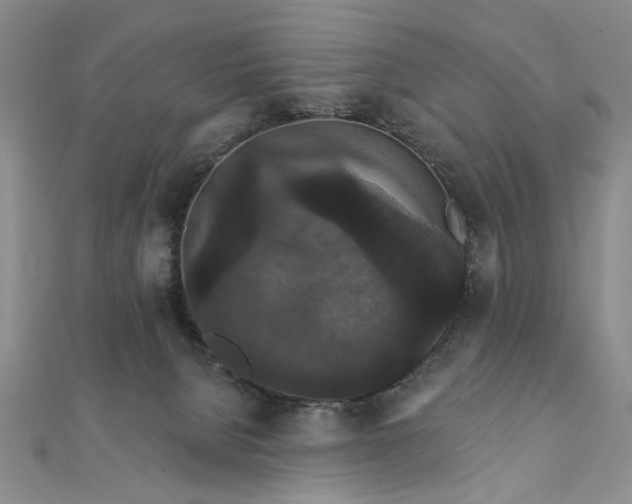 X0000111910080200908031147