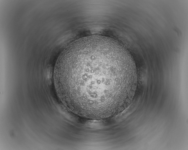 X0000111910082200908031147