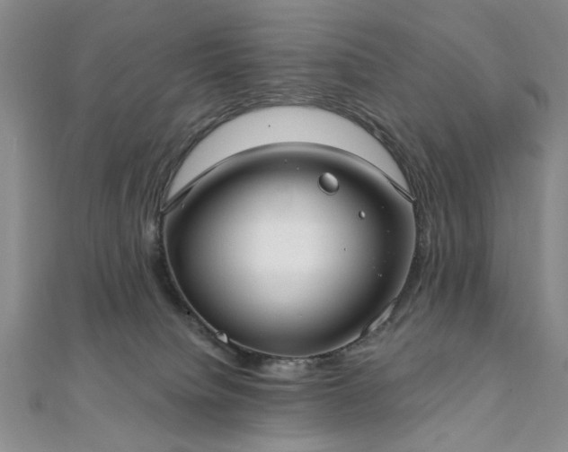 X0000111910084200908031147