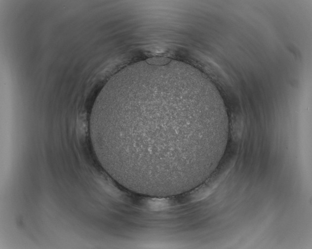 X0000111910085200908031147