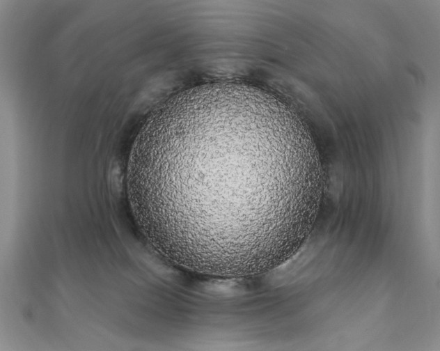 X0000111910086200908031147